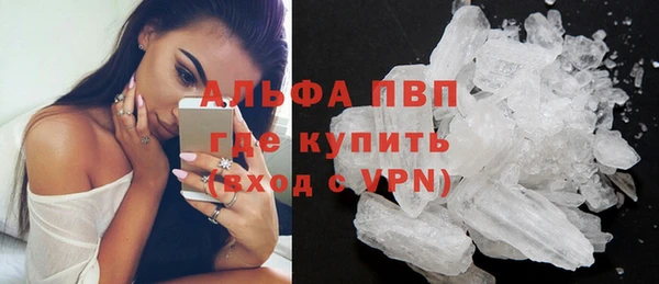 стаф Няндома
