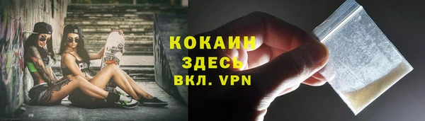 стаф Няндома